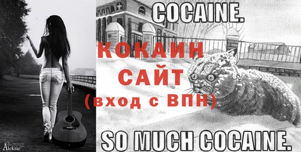 бошки Кукмор